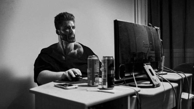 WebDev